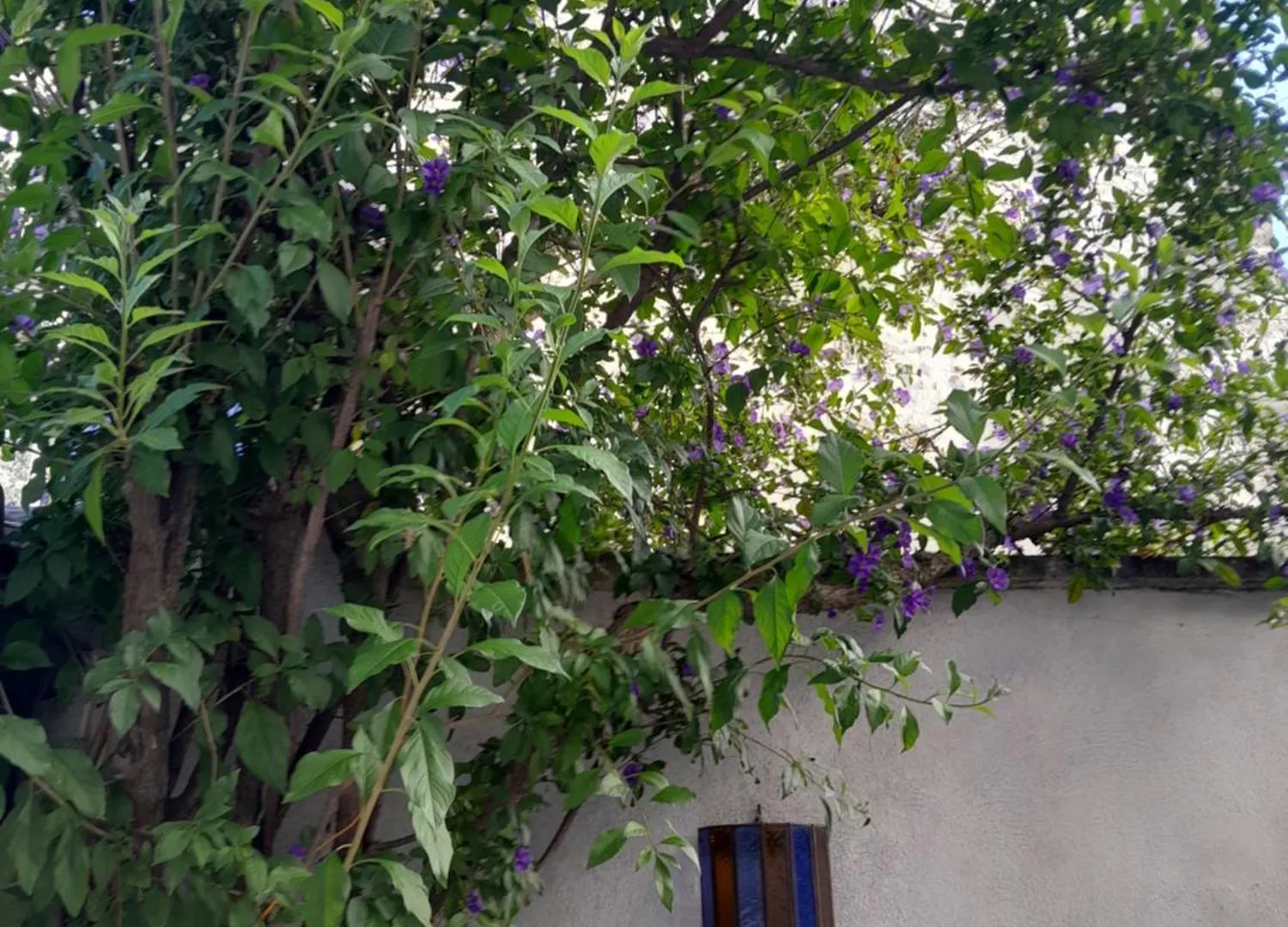 Bed & Breakfast Chambre D'Hote Chez Nicole Et Pierre Eyragues
